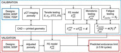 Fatigue life of 3D-printed porous titanium dental implants predicted by validated finite element simulations